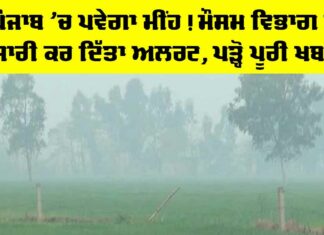 Weather News Punjab