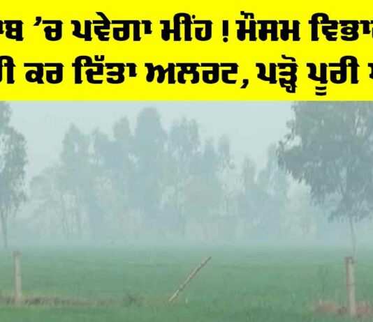 Weather News Punjab