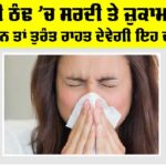 Winter Cold: ਵਧਦੀ ਠੰਢ ’ਚ ਸਰਦੀ ਤੇ ਜ਼ੁਕਾਮ ਤੋਂ ਹੋ ਪਰੇਸ਼ਾਨ ਤਾਂ ਤੁਰੰਤ ਰਾਹਤ ਦੇਵੇਗੀ ਇਹ ਦਵਾਈ Winter Cold