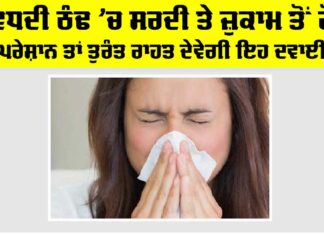 Winter Cold: ਵਧਦੀ ਠੰਢ ’ਚ ਸਰਦੀ ਤੇ ਜ਼ੁਕਾਮ ਤੋਂ ਹੋ ਪਰੇਸ਼ਾਨ ਤਾਂ ਤੁਰੰਤ ਰਾਹਤ ਦੇਵੇਗੀ ਇਹ ਦਵਾਈ Winter Cold
