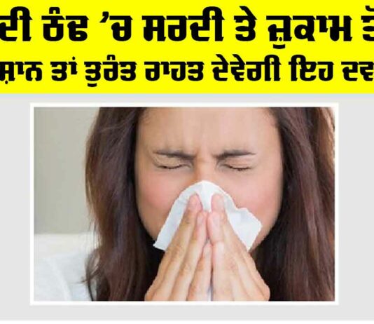 Winter Cold: ਵਧਦੀ ਠੰਢ ’ਚ ਸਰਦੀ ਤੇ ਜ਼ੁਕਾਮ ਤੋਂ ਹੋ ਪਰੇਸ਼ਾਨ ਤਾਂ ਤੁਰੰਤ ਰਾਹਤ ਦੇਵੇਗੀ ਇਹ ਦਵਾਈ Winter Cold