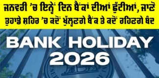 Bank Holiday 2026 January