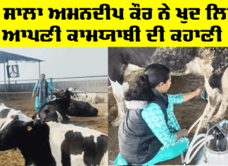 Success Story: 27 ਸਾਲਾ ਅਮਨਦੀਪ ਕੌਰ ਨੇ ਖੁਦ ਲਿਖੀ ਆਪਣੀ ਕਾਮਯਾਬੀ ਦੀ ਕਹਾਣੀ Success Story