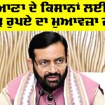 Haryana Farmers: ਮੀਂਹ ਨਾਲ ਫਸਲੀ ਨੁਕਸਾਨ, ਹਰਿਆਣਾ ਦੇ ਕਿਸਾਨਾਂ ਲਈ 116 ਕਰੋੜ ਰੁਪਏ ਦਾ ਮੁਆਵਜ਼ਾ ਜਾਰੀ Haryana Farmers