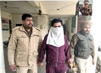 Counterfeit CurrencyCounterfeit Currency