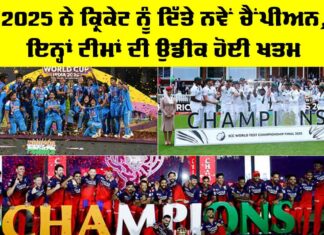 Cricket Champions 2025