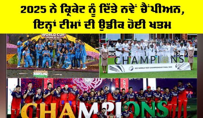 Cricket Champions 2025