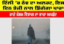 Delhi Cold News