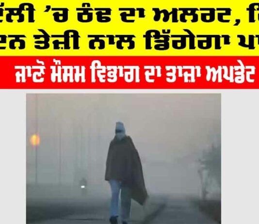 Delhi Cold News