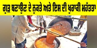 Jaggery Making Process