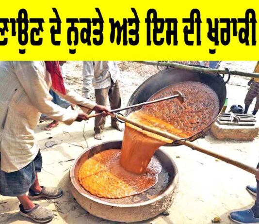 Jaggery Making Process