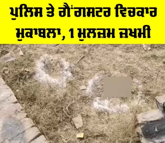 Jalandhar Police Gangster Encounter