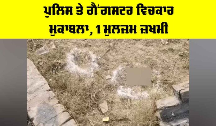 Jalandhar Police Gangster Encounter