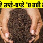 Lifestyle with Clay: ਜੀਵਨ ਦੇ ਤਾਣੇ-ਬਾਣੇ ’ਚ ਰਚੀ ਹੈ ਮਿੱਟੀ Lifestyle with Clay