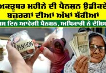Old Age Pension Punjab
