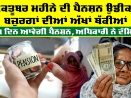 Old Age Pension Punjab