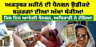 Old Age Pension Punjab