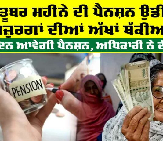 Old Age Pension Punjab