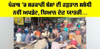 Punjab Bus Strike