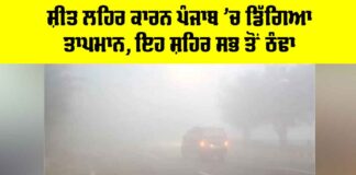 Punjab Cold Wave Update