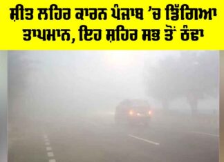Punjab Cold Wave Update: ਸ਼ੀਤ ਲਹਿਰ ਕਾਰਨ ਪੰਜਾਬ ’ਚ ਡਿੱਗਿਆ ਤਾਪਮਾਨ, ਇਹ ਸ਼ਹਿਰ ਸਭ ਤੋਂ ਠੰਢਾ Punjab Cold Wave Update