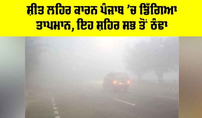 Punjab Cold Wave Update