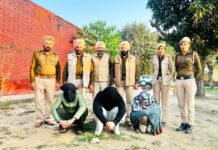 Punjab-Crime-News