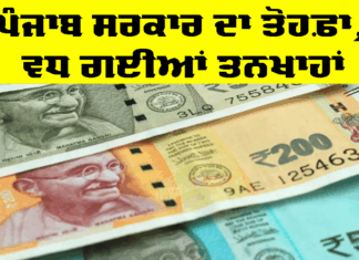 Punjab Government: ਪੰਜਾਬ ਸਰਕਾਰ ਦਾ ਤੋਹਫ਼ਾ, ਵਧ ਗਈਆਂ ਤਨਖਾਹਾਂ Punjab Government
