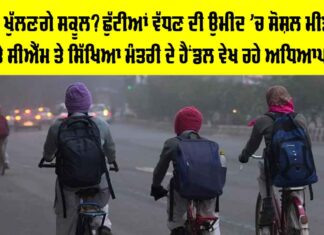 Punjab School Holidays