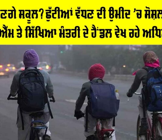 Punjab School Holidays