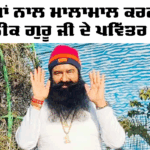 ਖੁਸ਼ੀਆਂ ਨਾਲ ਮਾਲਾਮਾਲ ਕਰਨ ਵਾਲੇ ਪੂਜਨੀਕ ਗੁਰੂ ਜੀ ਦੇ ਪਵਿੱਤਰ ਬਚਨ, ਪੜ੍ਹੋ ਤੇ ਸ਼ੇਅਰ ਕਰੋ… Baba Ram Rahim