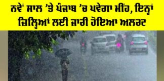 Weather Forecast Punjab