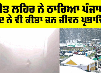 Punjab Weather Update