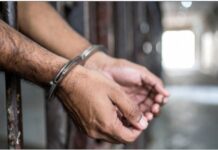 Punjab Police: ਪੰਜਾਬ ਪੁਲਿਸ ਦੀ ਵੱਡੀ ਕਾਰਵਾਈ, ਬਦਨਾਮ ਅੱਤਵਾਦੀ ਸ਼ਹਿਜ਼ਾਦ ਭੱਟੀ ਦਾ ਸਾਥੀ ਗ੍ਰਿਫ਼ਤਾਰ Punjab Police