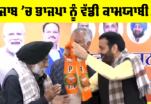 BJP Punjab News