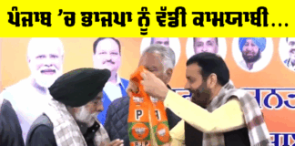 BJP Punjab News
