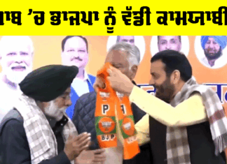 BJP Punjab News