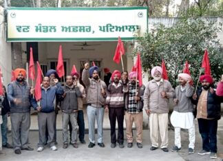 Forest Workers Protest: ਵਰਦੇ ਮੀਂਹ, ਕੜਕਦੀ ਠੰਢ ਤੇ ਖਰਾਬ ਮੌਸਮ ’ਚ ਮੋਰਚੇ ’ਤੇ ਡਟੇ ਜੰਗਲਾਤ ਕਾਮੇ Forest Workers Protest