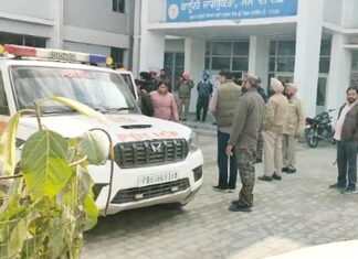 Gangster Goldy Brar News