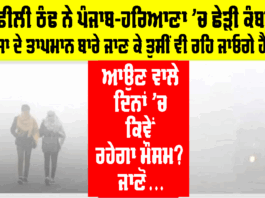 Haryana Punjab Weather