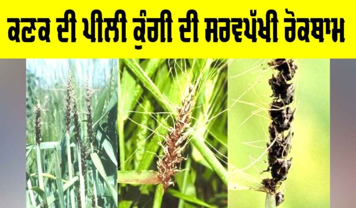 Kisan News Kisan News