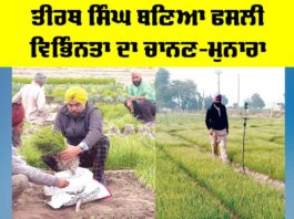 Kisan News