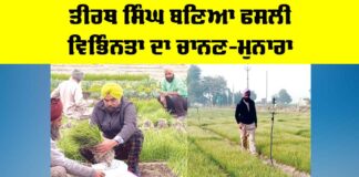 Kisan News
