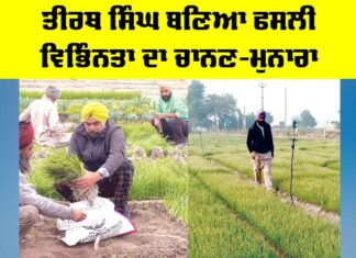 Kisan News