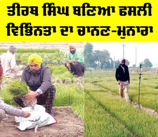 Kisan News
