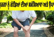 Knee Problems In Elderly: ਬਜ਼ੁਰਗਾਂ ਨੂੰ ਗੋਡਿਆਂ ਦੀਆਂ ਸਮੱਸਿਆਵਾਂ ਅਤੇ ਉਪਾਅ Knee Problems In Elderly