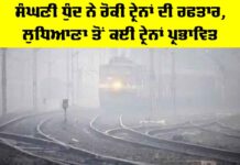 Indian Railway: ਸੰਘਣੀ ਧੁੰਦ ਨੇ ਰੋਕੀ ਟ੍ਰੇਨਾਂ ਦੀ ਰਫਤਾਰ, ਲੁਧਿਆਣਾ ਤੋਂ ਕਈ ਟ੍ਰੇਨਾਂ ਪ੍ਰਭਾਵਿਤ Ludhiana News