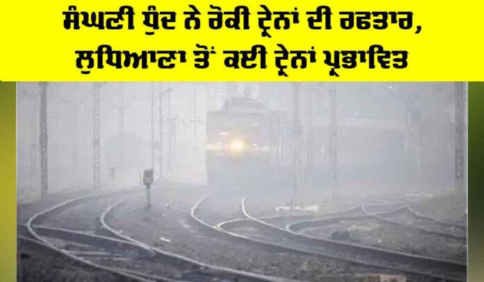 Ludhiana News Ludhiana News