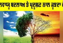 Pollution Crisis India