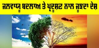 Pollution Crisis India